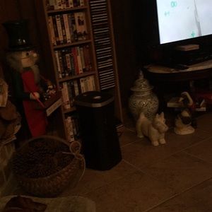 Meet your Posher, Carol